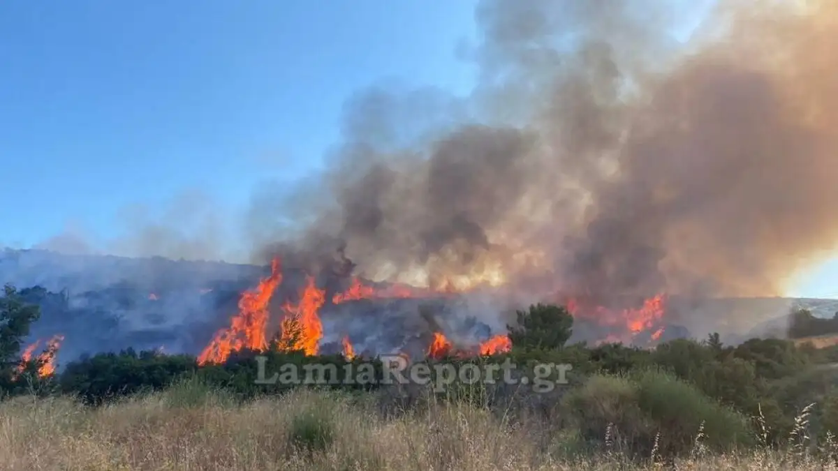 Συναγερμός στα Καμένα Βούρλα: Φωτιά σε δασική έκταση – Μάχη από αέρα και ξηρά