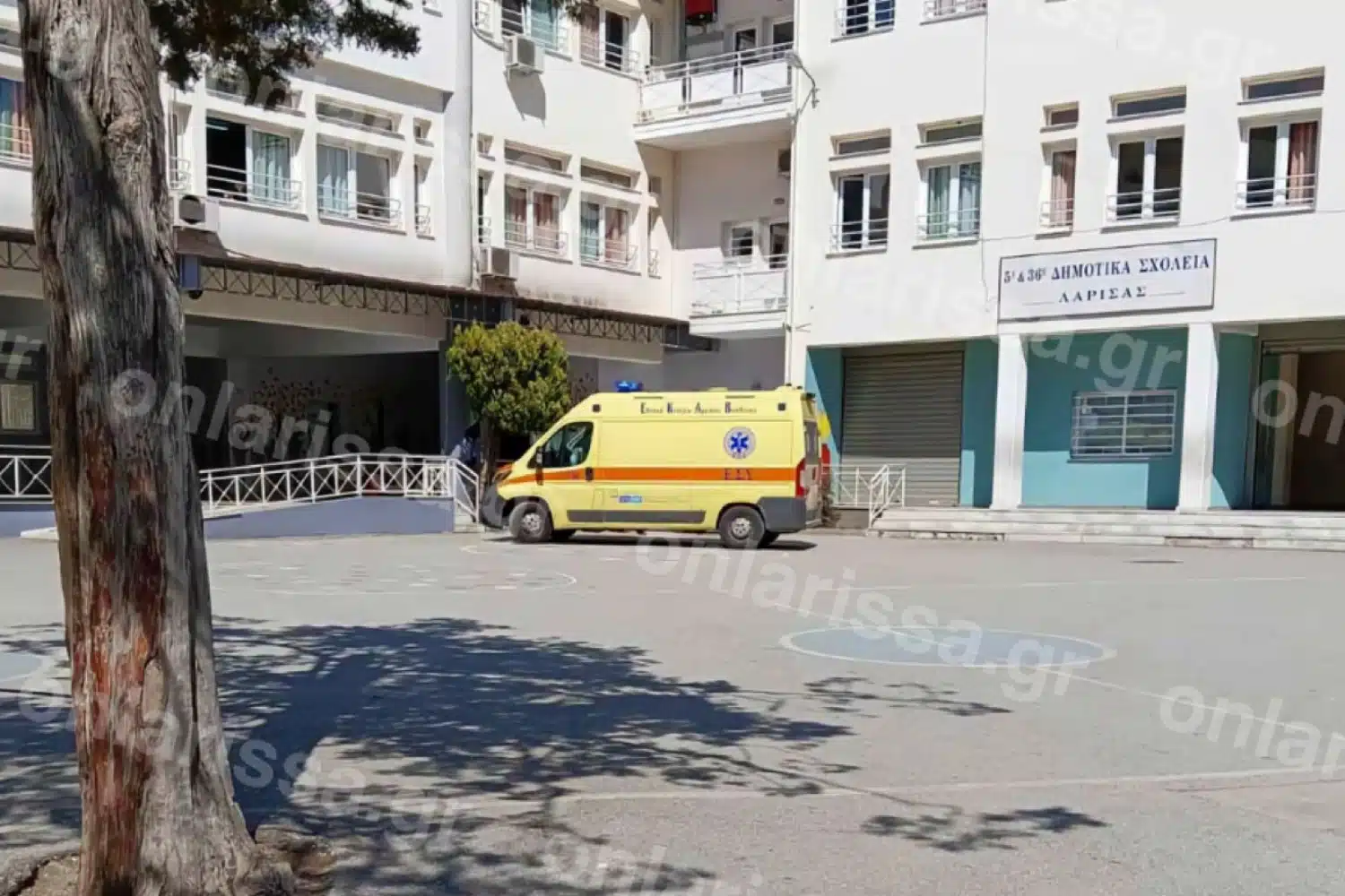 Λάρισα: Σε κρίσιμη κατάσταση ο 9χρονος που πνίγηκε από πορτοκάλι σε σχολείο – Η ΕΛ.ΑΣ. πήρε καταθέσεις από δασκάλους