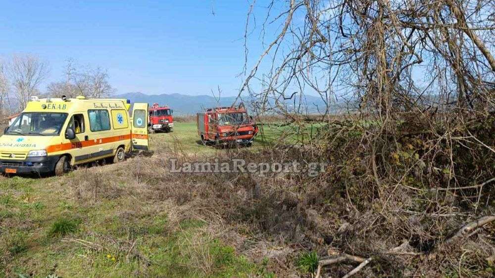 Τραγωδία στον Σπερχειό: 60χρονος πήγε να κόψει «άρρωστο» πλάτανο και σκοτώθηκε από τεράστιο κλωνάρι