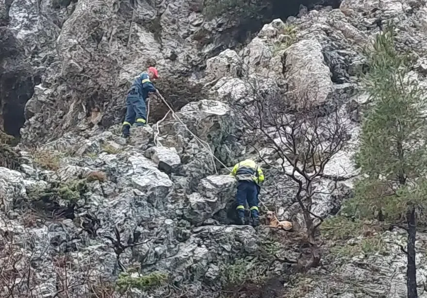 Φαράγγι της Αγάλης: Διάσωση σκύλου που έπεσε σε χαράδρα