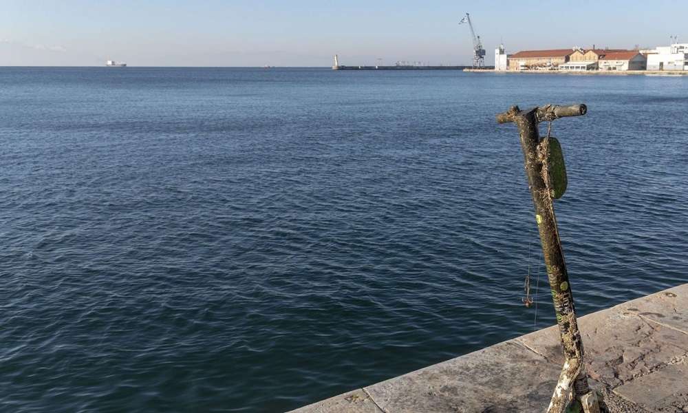Θεσσαλονίκη: «Νεκρά ποντίκια» ξεβράστηκαν στον Θερμαϊκό! [ΒΙΝΤΕΟ]