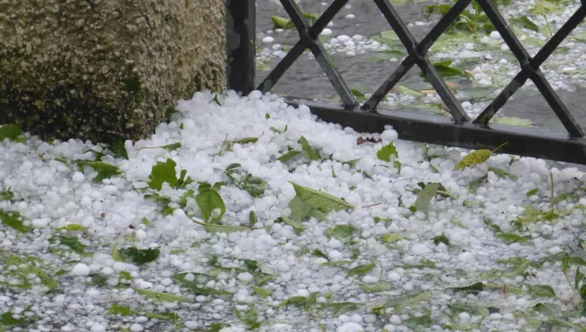 Μέσα σε 15 λεπτά χάθηκε ο κόπος της χρονιάς – Χάθηκαν τα μήλα της Καστοριάς