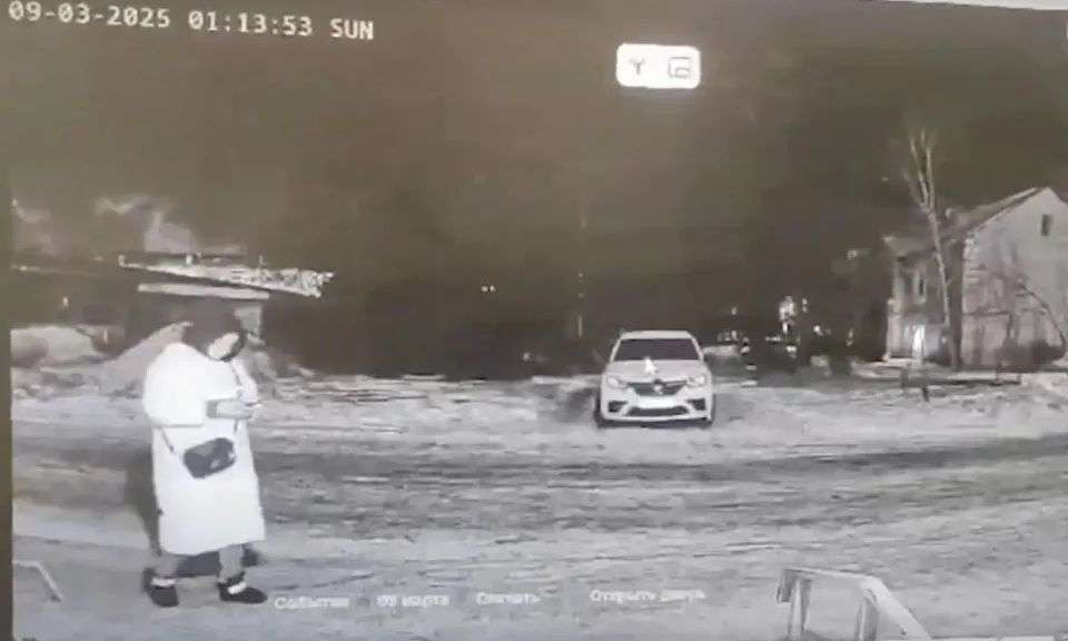ΦΡΙΚΗ! Αρκούδα Κατασπάραξε Γυναίκα – Το Κεφάλι της Βρέθηκε Κομμένο