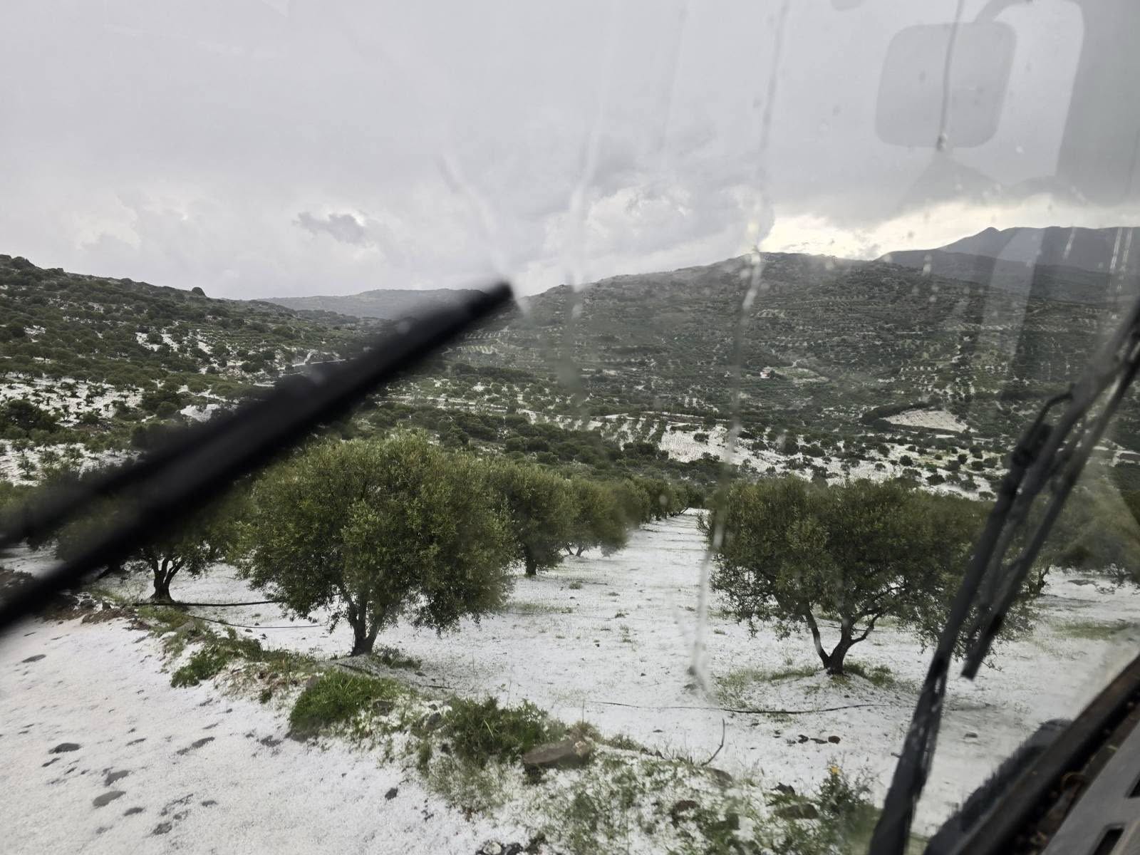 ΟΛΑ ΚΑΤΑΣΤΑΦΗΚΑΝ ΣΕ ΜΟΛΙΣ ΛΙΓΑ ΛΕΠΤΑ! Χαλαζόπτωση-σοκ ισοπέδωσε καλλιέργειες – Απροειδοποίητοι οι πολίτες (Bίντεο-Φώτο)