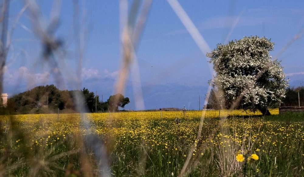 ΤΙ ΚΑΙΡΟ ΘΑ ΚΑΝΕΙ ΤΟ ΠΑΣΧΑ;  – Πού θα έχει καιρικές «ΕΚΠΛΗΞΕΙΣ» και πού 30άρια