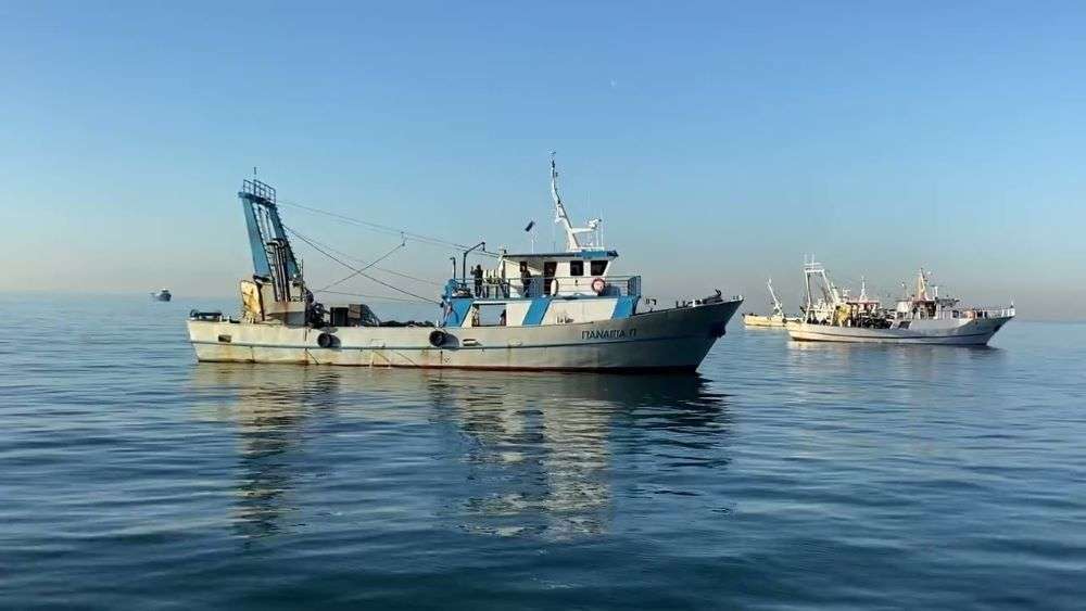 Θεσσαλονίκη: Στα «κάγκελα» οι ψαράδες, κατεβαίνουν με αλιευτικά στον Λευκό Πύργο – Κλείνουν ιχθυόσκαλες