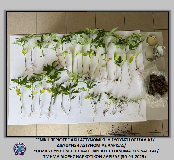 ΕΠΙΚΟ-ΞΕΣΚΕΠΑΣΜΑ! Δύο άνδρες καλλιεργούσαν κάνναβη στο σπίτι τους