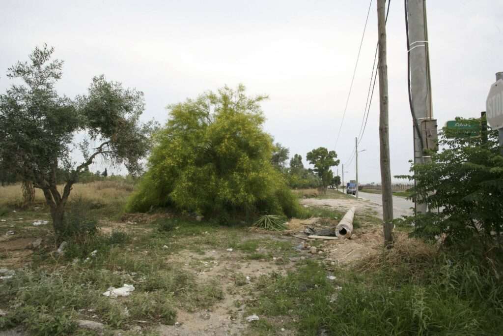 Ακαθάριστα οικόπεδα: Από την Πυροσβεστική οι έλεγχοι – Τι πρέπει να προσέξετε
