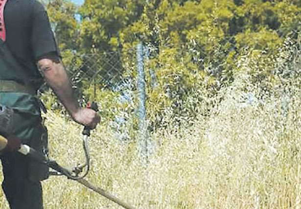 Τα ακαθάριστα οικόπεδα «φλερτάρουν» με την καταστροφή – 1.000 ευρώ το πρόστιμο!
