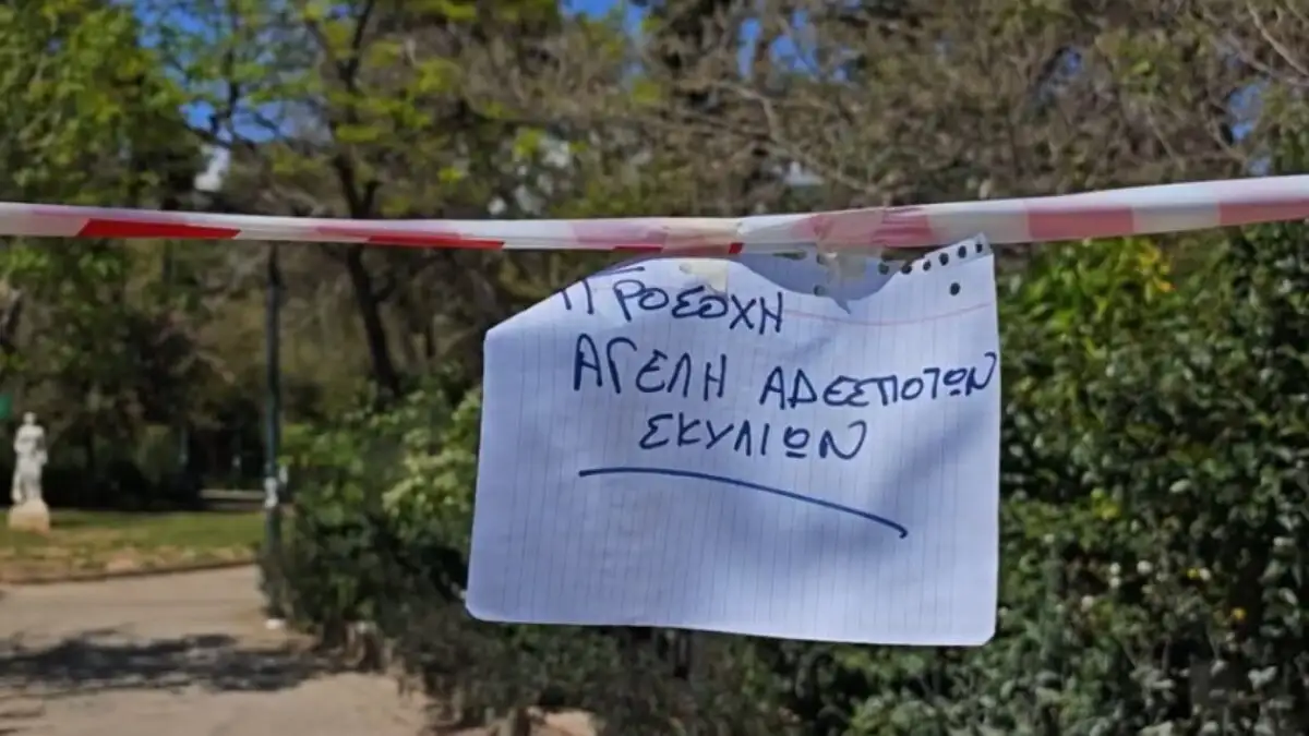 Άλσος Παγκρατίου: Ο Δήμος έκλεισε την πρόσβαση μετά την «κάθοδο» αδέσποτων σκυλιών