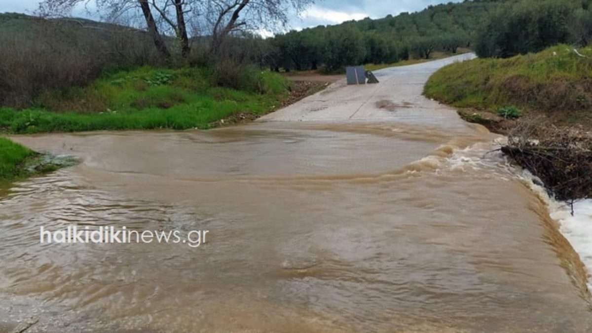Προβλήματα από την έντονη βροχόπτωση σε Χαλκιδική και Βέροια – Έκλεισαν δρόμοι