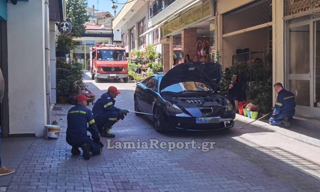 Λαμία: Οδηγός «ΕΝΤΟΠΙΣΕ ΦΙΔΙ» στο αυτοκίνητό του! (BINTEO)