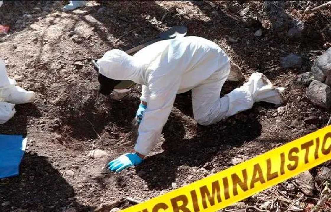 17 «ΠΤΩΜΑΤΑ» ανακαλύφθηκαν σε εγκαταλελειμμένο σπίτι