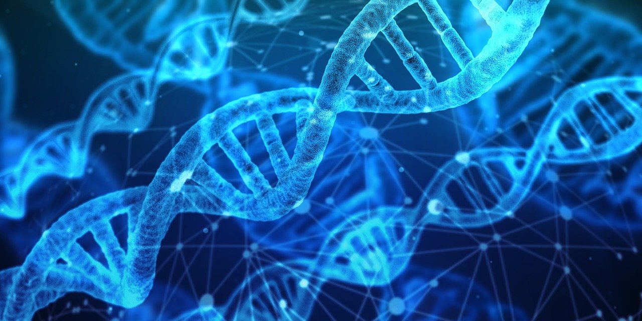 ΜΥΣΤΗΡΙΟ 68 ΕΤΩΝ: Το DNA μίλησε για την οικογένεια που εξαφανίστηκε τα Χριστούγεννα του ’58!