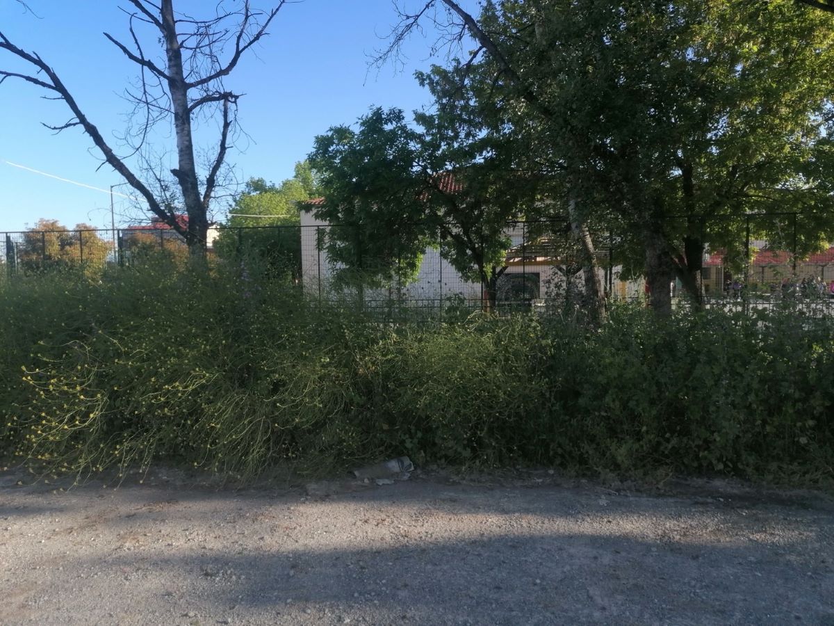 “ΠΑΙΔΕΙΑ – ΩΡΑ ΜΗΔΕΝ” : Εξαγριωμένοι γονείς για επικίνδυνη “ΖΟΥΓΚΛΑ” – “κολλητά” ΣΕ ΣΧΟΛΕΙΟ – “ΤΡΩΚΤΙΚΑ ΚΑΙ ΦΙΔΙΑ”!  τους θέτουν σε κατάσταση συναγερμού!