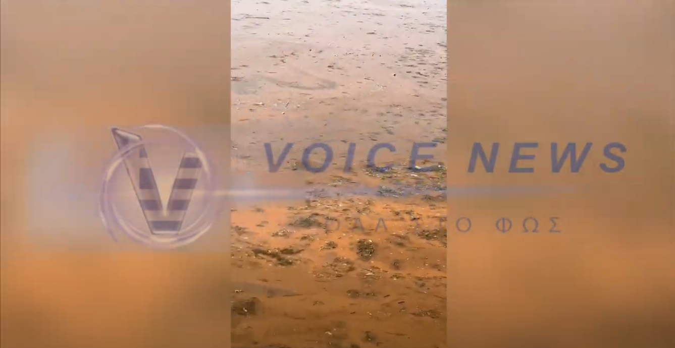 ΕΙΚΟΝΕΣ ΝΤΡΟΠΗΣ! ΧΑΒΟΥΖΑ Ο ΘΕΡΜΑΙΚΟΣ!