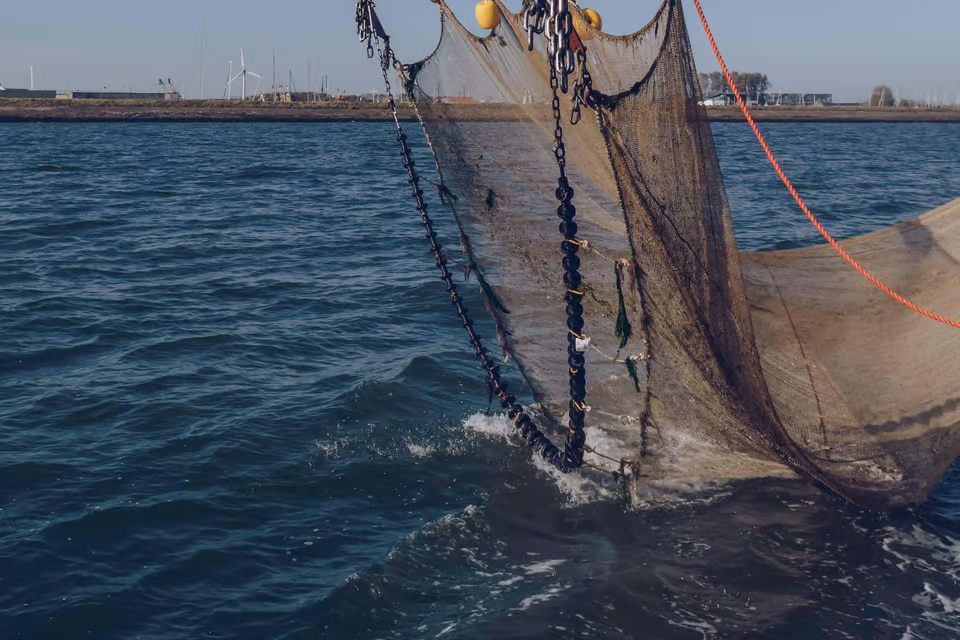 Το Ηνωμένο Βασίλειο προτείνει ευρύτερη απαγόρευση της «καταστροφικής τράτας βυθού» των ωκεανών