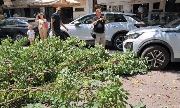 «Πτώση» δέντρου στο «κέντρο» της Θεσσαλονίκης – «Υλικές» ζημιές σε «παρκαρισμένο» όχημα