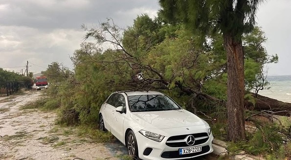 Ισχυροί άνεμοι σάρωσαν τα Μέγαρα – Δέντρα έπεσαν σε αυτοκίνητα, ζημιές και αποκλεισμοί (ΒΙΝΤΕΟ-ΦΩΤΟ)