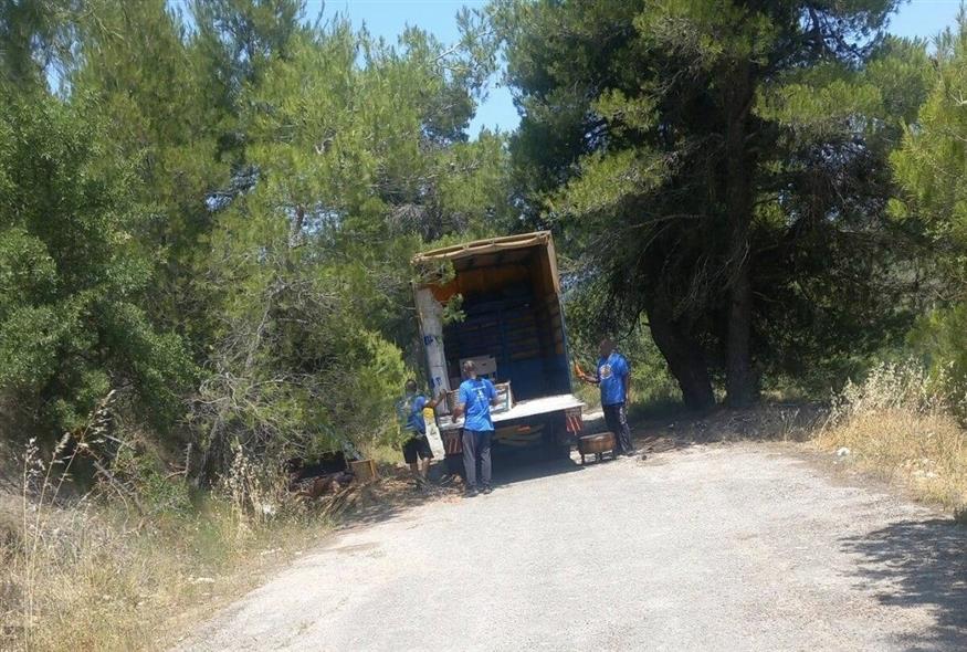 Κάναμε τα δάση σκουπιδότοπο – Πετάνε παλέτες στο δάσος και μετά… κλαίμε για τις φωτιές! (ΒΙΝΤΕΟ)