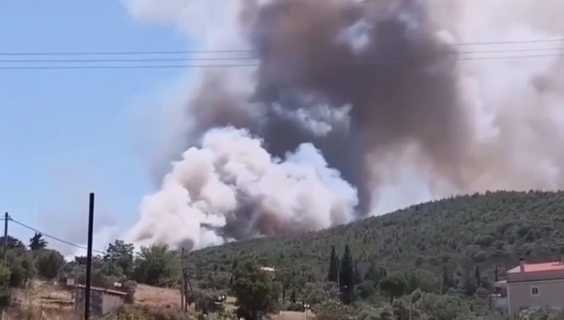 «ΦΩΤΙΑ» στο Ανω Σούλι – «Σενάριο» ότι η πυρκαγιά ξεκίνησε από μια καρακάξα !