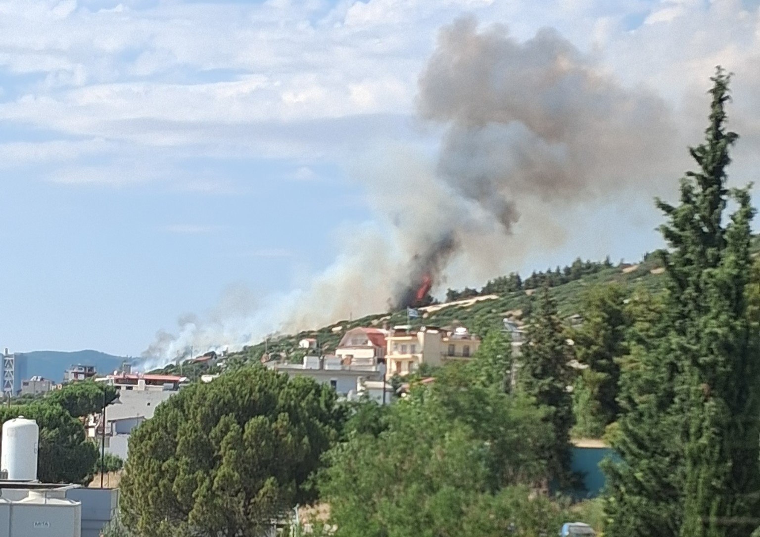 Φωτιά τώρα στη Θεσσαλονίκη –  Καίει κοντά σε σπίτια και νοσοκομείο (ΒΙΝΤΕΟ)