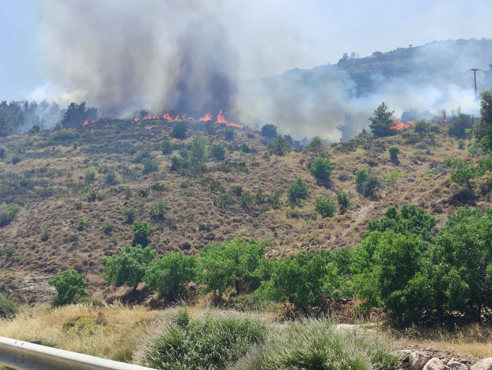 Φωτιές στην Ελλάδα: «Στάχτη» έγιναν 454.000 στρέμματα από την αρχή του χρόνου!