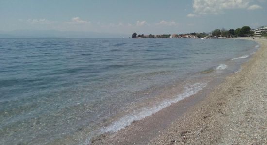 Ακατάλληλες για κολύμπι ακτές στον Παγασητικό