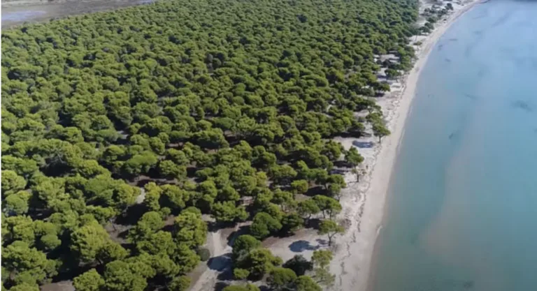 Οργή για τα αυθαίρετα εντός Natura – Έρχεται καταιγίδα αποκαλύψεων στον Σχινιά