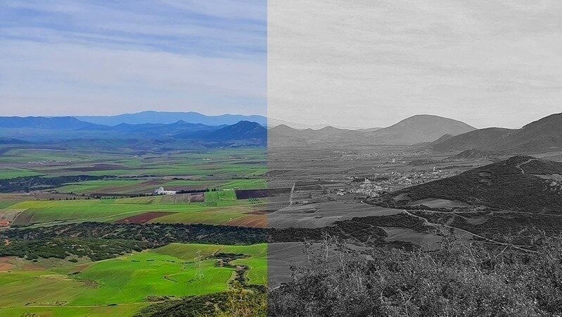 ΕΓΚΛΗΜΑ ΣΤΑ ΦΑΡΣΑΛΑ! ΟΙ ΔΟΛΟΦΟΝΟΙ ΤΩΝ ΦΩΤΟΒΟΛΤΑΙΚΩΝ ΣΚΟΤΩΝΟΥΝ ΤΟΥΣ ΑΓΡΟΤΕΣ! (ΒΙΝΤΕΟ ΣΟΚ)