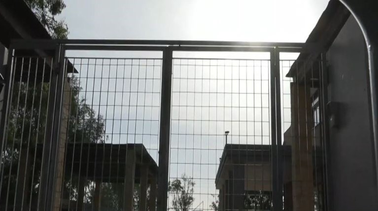«Έκρυβε πολλά μέσα του» – Η αυτοκτονία του Φίλιππου μάς αφορά όλους