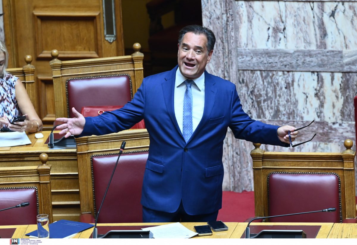 «Δεν θα τους ελέγξουμε, τελειώσαμε» – Ο Άδωνης ξεγυμνώνει το καθεστώς Μητσοτάκη με μία πρόταση!