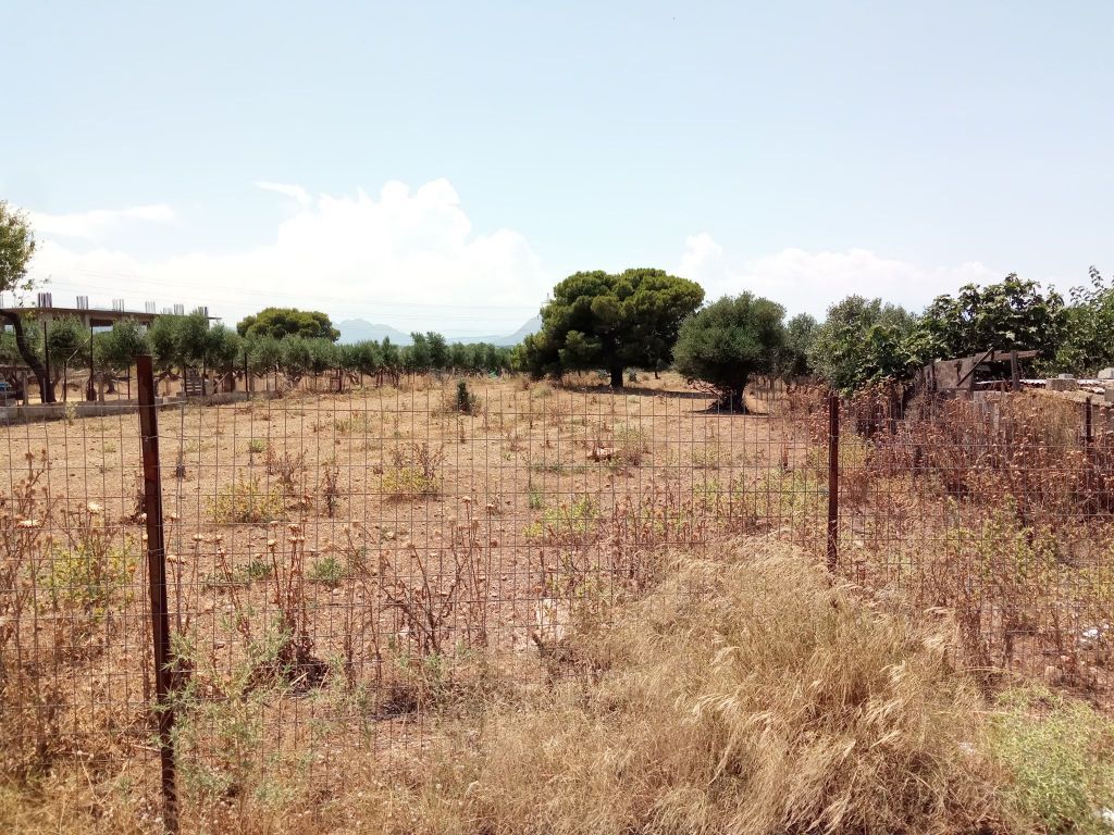 Έλεγχοι σε «ακαθάριστα οικόπεδα» από την Πυροσβεστική