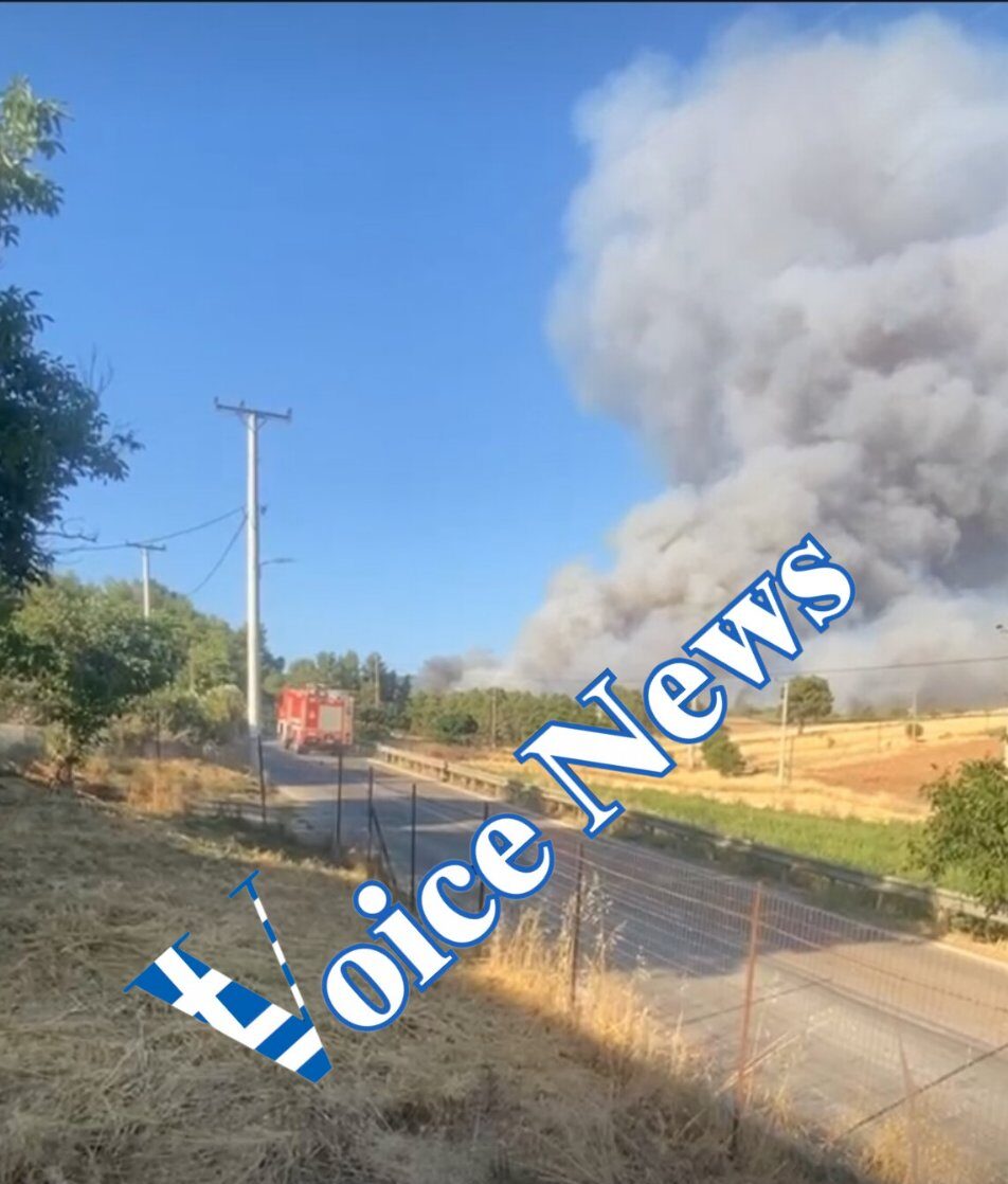 [ΕΚΤΑΚΤΟ] Φωτιά ξέσπασε πριν από λίγο στο Ασπροχώρι στον Ωρωπό (ΦΩΤΟ)