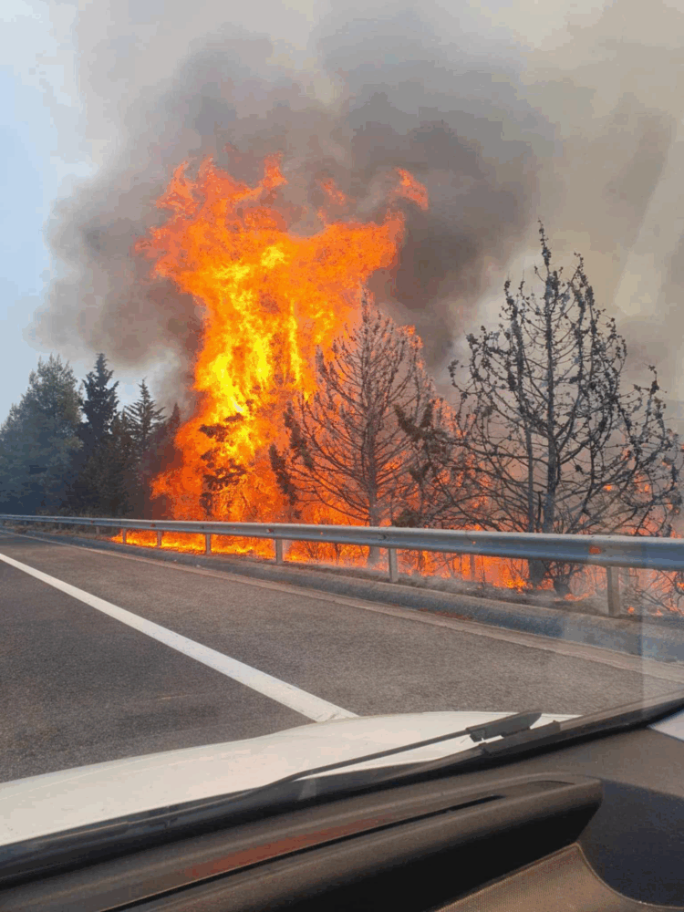 Φλόγες δίπλα στην Εθνική Οδό! Έκλεισε το ρεύμα προς Λάρισα – Συναγερμός στο Μακρυχώρι