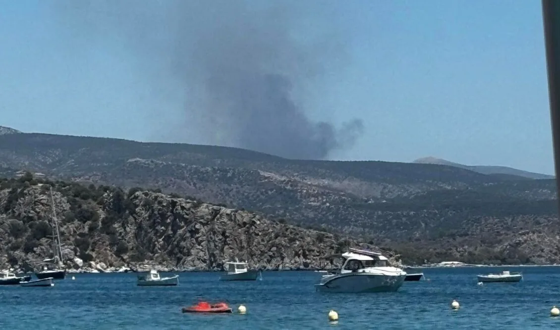 Μεγάλη φωτιά στην Αργολίδα – Καίγεται δασική έκταση