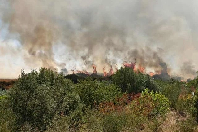 Φωτιές σε Ευρυτανία και Καστοριά – Πώς διαμορφώνεται το «μέτωπο της φωτιάς»;