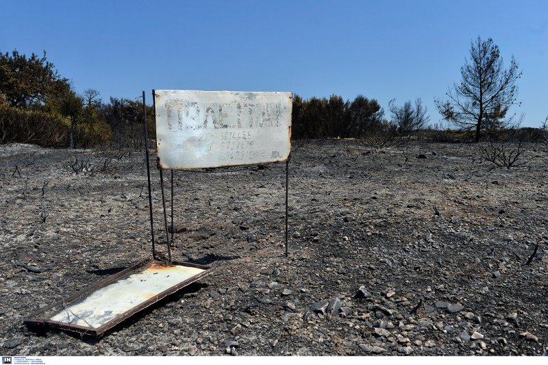 Καταστροφή χωρίς επιστροφή στα Κύθηρα – Τι αποκαλύπτεται