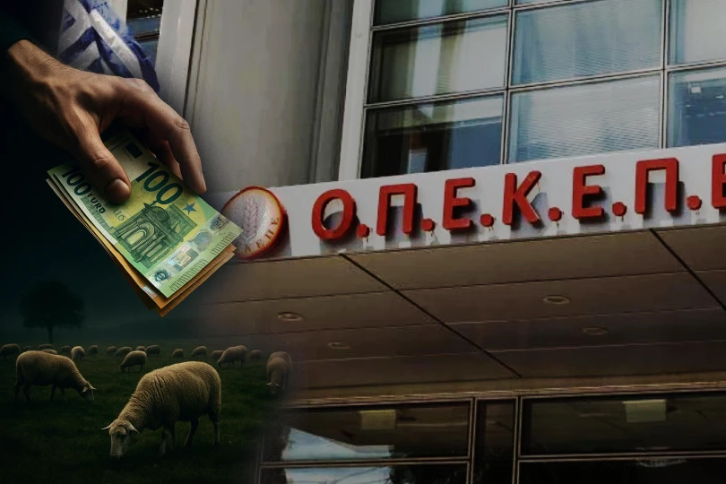 ΟΠΕΚΕΠΕ: Τι υποστήριξαν πεθερά και μητέρα του φερόμενου αρχηγού που πήραν 60.000 ευρώ