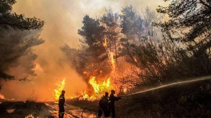 ΦΩΤΙΑ σε «δασική έκταση» στη Δράμα