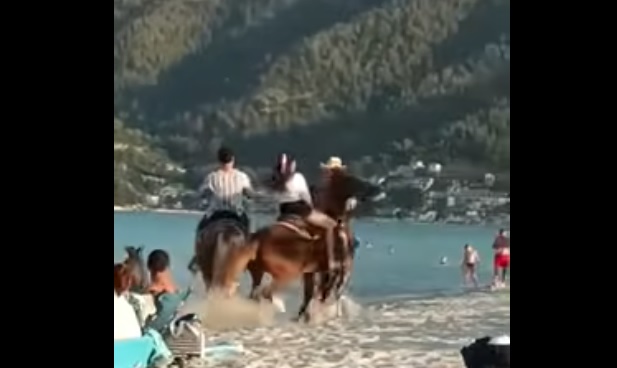 Εκτός κινδύνου η 5χρονη που χτυπήθηκε στο κεφάλι από άλογο