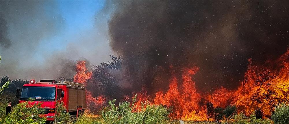 ΦΩΤΙΑ στην Καλλιτεχνούπολη – Μεγάλη «κινητοποίηση» της Πυροσβεστικής – Μήνυμα του 112