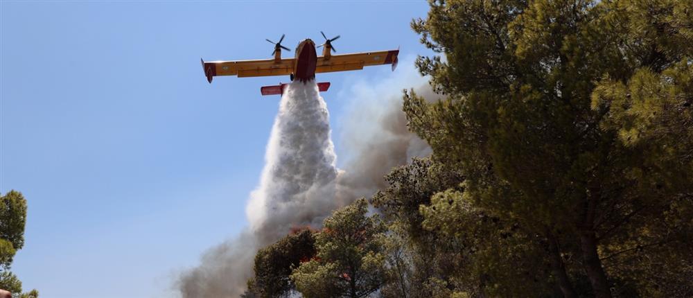 Καθοριστική επέμβαση εναέριων μέσων στη φωτιά της Εύβοιας