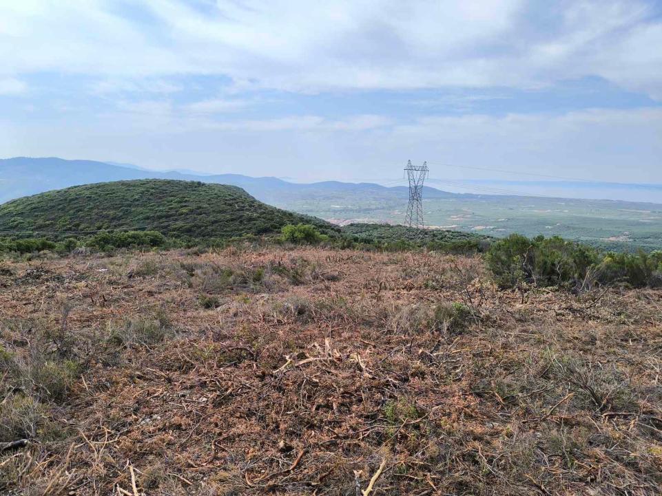 Ξεσηκωμός στον Πολύγυρο – Ο Δήμος πάει ΣτΕ για να μπλοκάρει το Αιολικό Πάρκο!