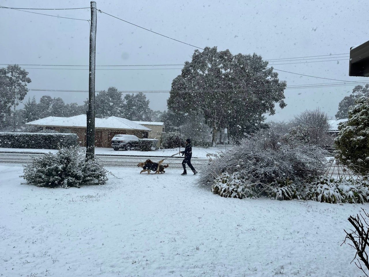 Καλύφθηκε με «χιόνι» η Αυστραλία – Η πιο σφοδρή χιονόπτωση των «τελευταίων 20 ετών»