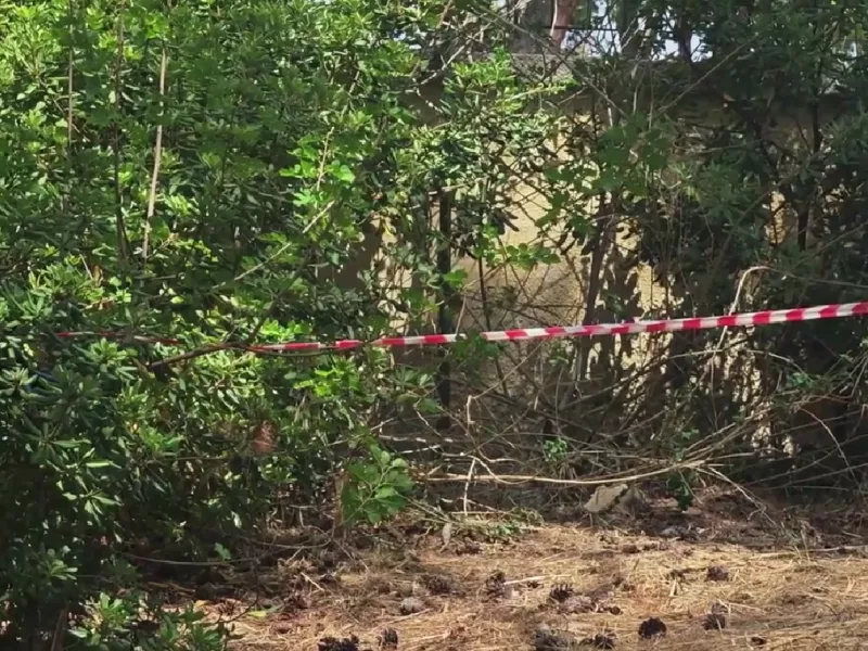 «Ωρολογιακή βόμβα» στο Άλσος Χωροφυλακής – Θαμμένα ζώα λίγα μέτρα από παιδιά