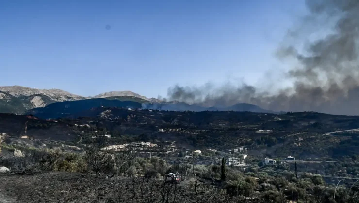 Φόβοι για μόλυνση σε νερό και αέρα – Γιατί οι αρχές απαγορεύουν την επαφή με τη στάχτη