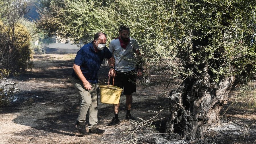 «ΜΕ ΕΝΑΝ ΚΟΥΒΑ ΝΕΡΟ ΝΑ ΣΩΣΕΙ ΤΑ ΖΩΝΤΑΝΑ ΤΗΣ ΚΑΙ ΤΟ ΒΙΟΣ ΤΗΣ» – ΚΑΘΑΡΜΑΤΑ ΠΟΛΙΤΙΚΟΙ, ΜΗΤΣΟΤΑΚΗ ΚΑΘΑΡΜΑ – ΒΙΝΤΕΟ ΝΤΟΚΟΥΜΕΝΤΟ ΓΙΑ ΝΑ ΜΕΙΝΕΙ ΒΑΘΙΑ ΧΑΡΑΓΜΕΝΟ ΣΤΗ ΜΝΗΜΗ ΣΑΣ – ΦΑΓΑΝΕ ΤΑ ΛΕΦΤΑ ΜΕ ΤΟΥΣ ΛΩΠΟΔΥΤΕΣ ΚΟΛΛΗΤΟΥΣ ΤΟΥΣ ΚΑΙ ΠΑΡΑΤΗΣΑΝ ΤΟΝ ΛΑΟ ΣΤΗΝ ΚΑΤΑΦΡΟΝΙΑ ΚΑΙ ΤΗ ΣΥΜΦΟΡΑ