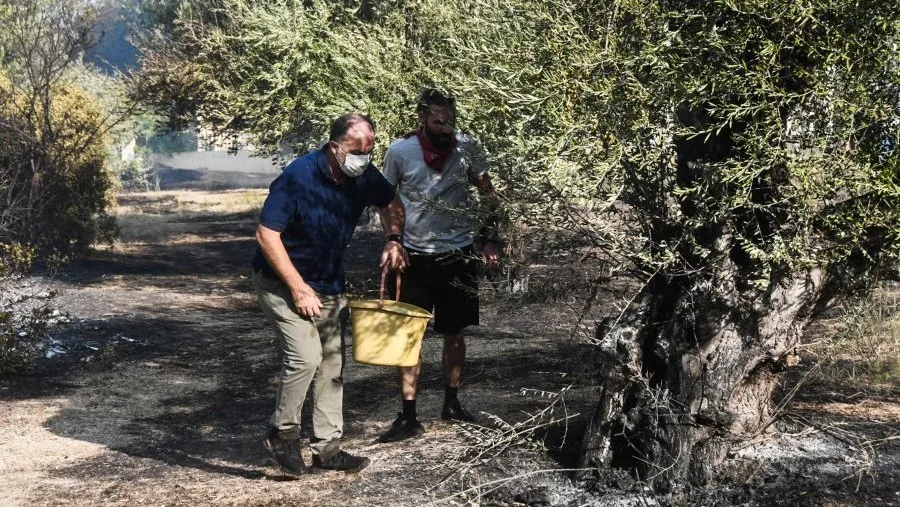 «ΜΕ ΕΝΑΝ ΚΟΥΒΑ ΝΕΡΟ ΝΑ ΣΩΣΕΙ ΤΑ ΖΩΝΤΑΝΑ ΤΗΣ ΚΑΙ ΤΟ ΒΙΟΣ ΤΗΣ» – ΚΑΘΑΡΜΑΤΑ ΠΟΛΙΤΙΚΟΙ, ΜΗΤΣΟΤΑΚΗ ΚΑΘΑΡΜΑ – ΒΙΝΤΕΟ ΝΤΟΚΟΥΜΕΝΤΟ ΓΙΑ ΝΑ ΜΕΙΝΕΙ ΒΑΘΙΑ ΧΑΡΑΓΜΕΝΟ ΣΤΗ ΜΝΗΜΗ ΣΑΣ – ΦΑΓΑΝΕ ΤΑ ΛΕΦΤΑ ΜΕ ΤΟΥΣ ΛΩΠΟΔΥΤΕΣ ΚΟΛΛΗΤΟΥΣ ΤΟΥΣ ΚΑΙ ΠΑΡΑΤΗΣΑΝ ΤΟΝ ΛΑΟ ΣΤΗΝ ΚΑΤΑΦΡΟΝΙΑ ΚΑΙ ΤΗ ΣΥΜΦΟΡΑ