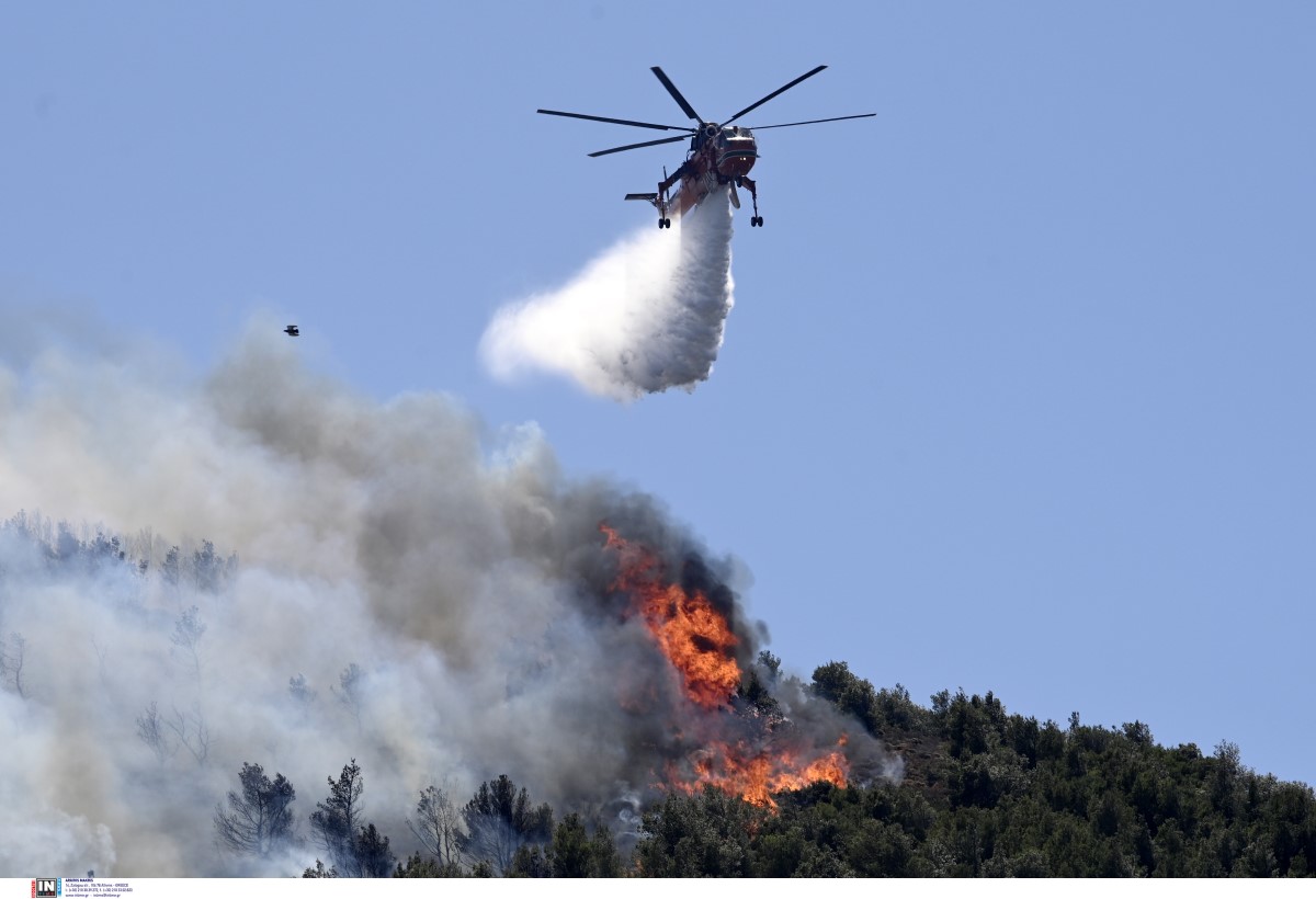 ΦΩΤΙΑ σε δασική έκταση στην Καβάλα